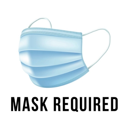 Picture of ARTSY QUOTES QUOTE: MASK REQUIRED
