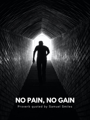 Picture of SAMUEL SMILES QUOTE: NO PAINS