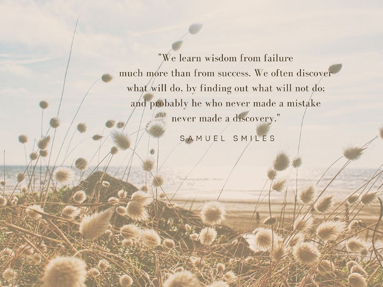 Picture of SAMUEL SMILES QUOTE: WISDOM FROM FAILURE