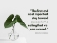 Picture of NELSON BOSWELL QUOTE: MOST IMPORTANT STEP
