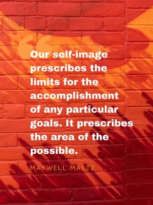 Picture of MAXWELL MALTZ QUOTE: PARTICULAR GOALS