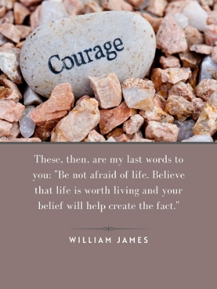 Picture of WILLIAM JAMES QUOTE: NOT AFRAID OF LIFE