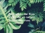 Picture of RALPH WALDO EMERSON QUOTE: WE KNOW BETTER THAN WE DO