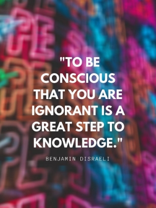 Picture of BENJAMIN DISRAELI QUOTE: TO BE CONSCIOUS