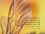 Picture of JAMES GORDON GILKEY QUOTE: MASTERING LIFE