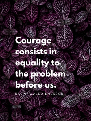 Picture of RALPH WALDO EMERSON QUOTE: EQUALITY