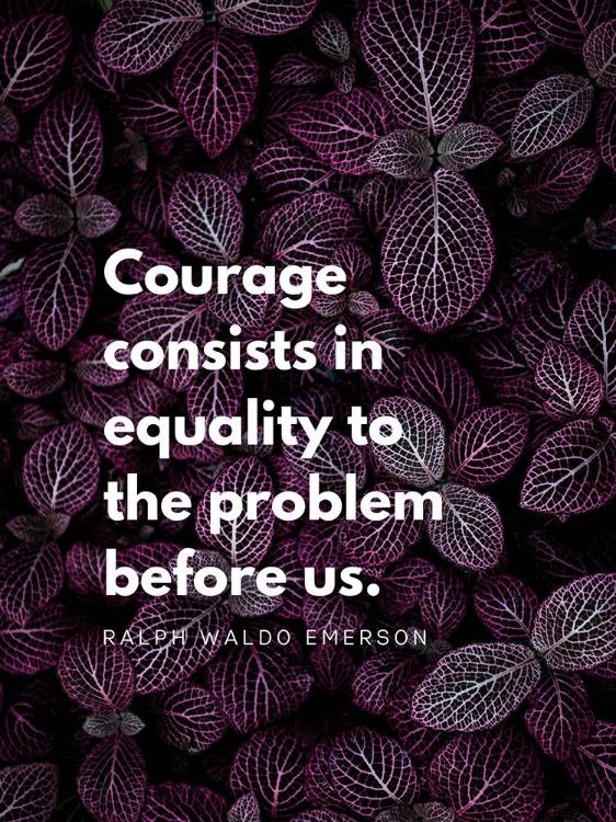 Picture of RALPH WALDO EMERSON QUOTE: EQUALITY