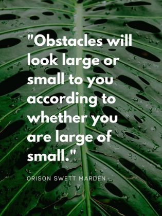 Picture of ORISON SWETT MARDEN QUOTE: OBSTACLES
