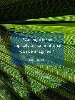 Picture of LEO ROSTEN QUOTE: COURAGE IS THE CAPACITY