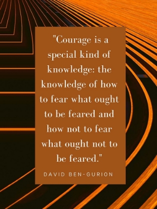 Picture of DAVID BEN-GURION QUOTE: FEAR