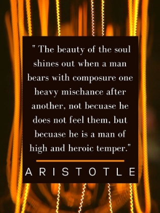 Picture of ARISTOTLE QUOTE: THE SOUL SHINES