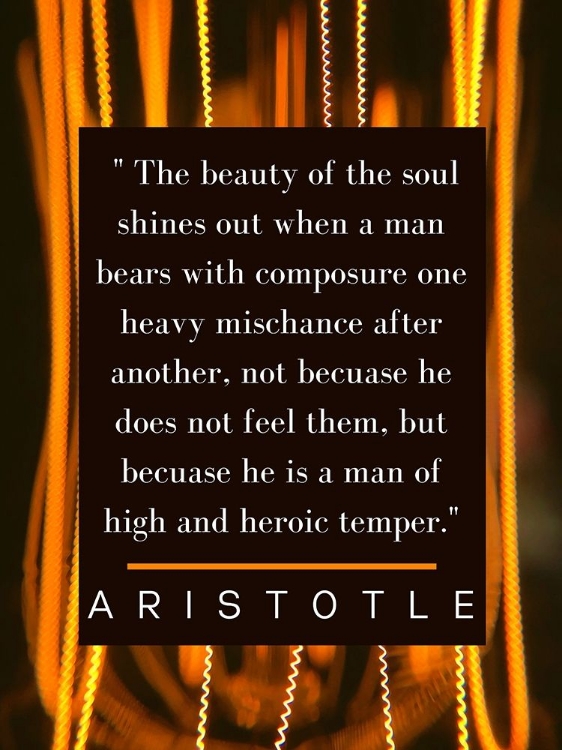 Picture of ARISTOTLE QUOTE: THE SOUL SHINES