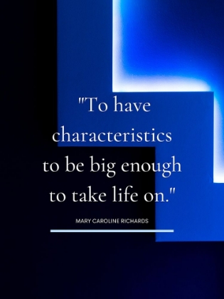Picture of MARY CAROLINE RICHARDS QUOTE: TAKE LIFE ON