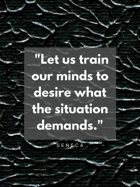 Picture of SENECA QUOTE: OUR MINDS