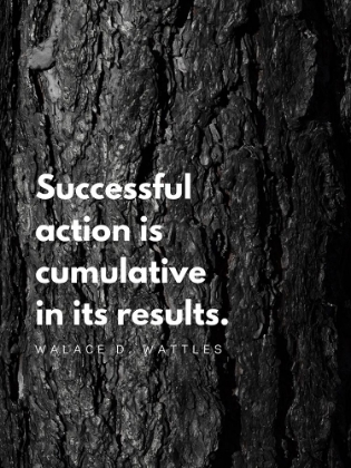 Picture of WALLACE D. WATTLES QUOTE: SUCCESSFUL ACTION