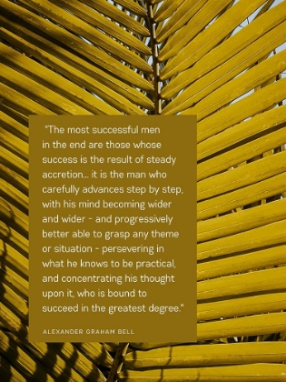 Picture of ALEXANDER GRAHAM BELL QUOTE: SUCCESSFUL MEN