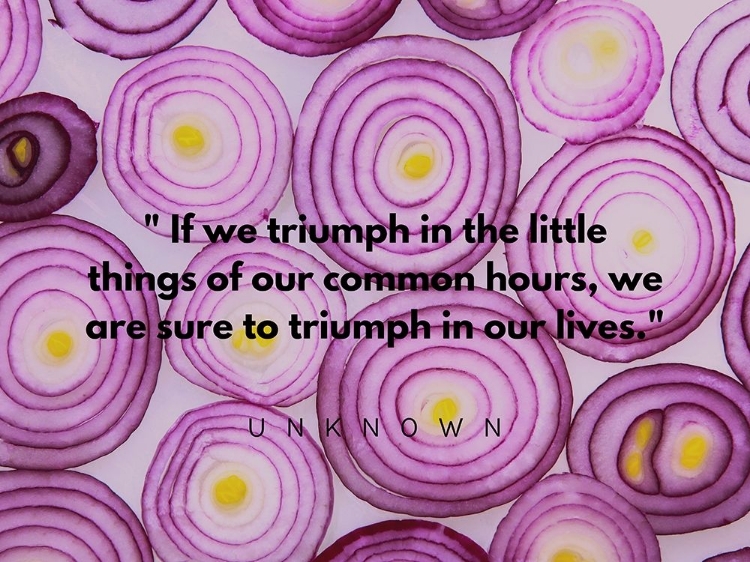 Picture of ARTSY QUOTES QUOTE: COMMON HOURS