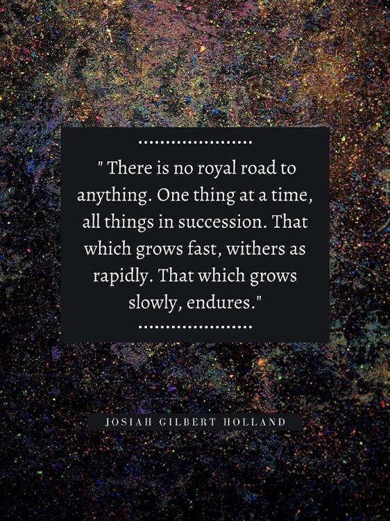 Picture of JOSIAH GILBERT HOLLAND QUOTE: NO ROYAL ROAD
