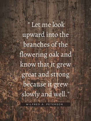 Picture of WILFRED A. PETERSON QUOTE: FLOWERING OAK