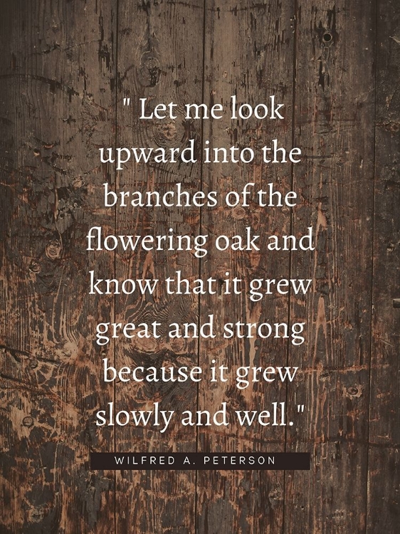 Picture of WILFRED A. PETERSON QUOTE: FLOWERING OAK