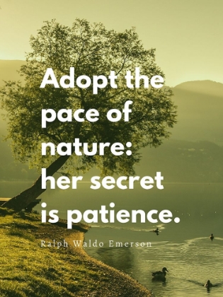 Picture of RALPH WALDO EMERSON QUOTE: ADOPT THE PACE