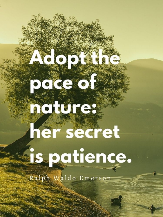 Picture of RALPH WALDO EMERSON QUOTE: ADOPT THE PACE