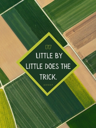 Picture of AESOP QUOTE: LITTLE BY LITTLE