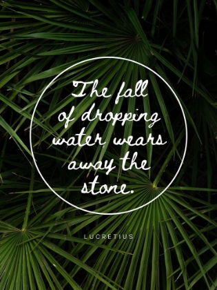 Picture of LUCRETIUS QUOTE: WATER WEARS AWAY THE STONE