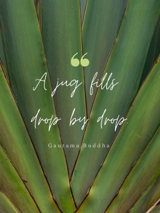 Picture of GAUTAMA BUDDHA QUOTE: DROP BY DROP