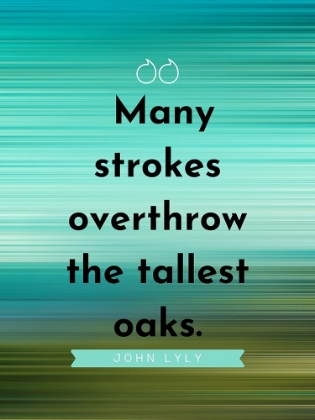 Picture of JOHN LYLY QUOTE: MANY STROKES