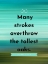 Picture of JOHN LYLY QUOTE: MANY STROKES