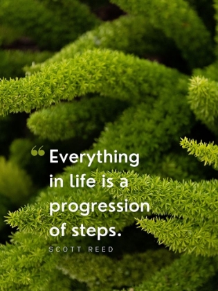 Picture of SCOTT REED QUOTE: PROGRESSION OF STEPS