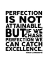 Picture of VINCE LOMBARDI QUOTE: PERFECTION