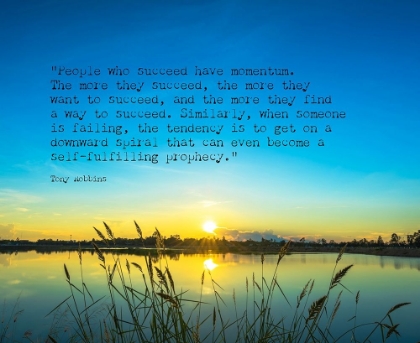Picture of TONY ROBBINS QUOTE: WANT TO SUCCEED