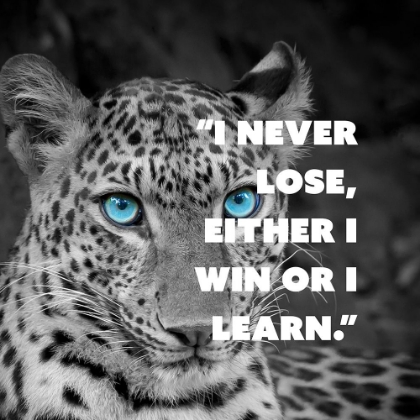 Picture of ARTSY QUOTES QUOTE: I NEVER LOSE