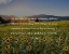 Picture of BRYAN STEVENSON QUOTE: WE HAVE A CHOICE