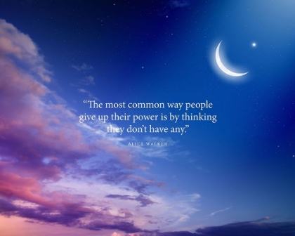 Picture of ALICE WALKER QUOTE: GIVE UP POWER