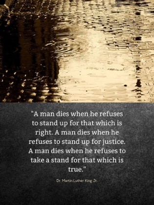 Picture of DR. MARTIN LUTHER KING JR. QUOTE: STAND UP