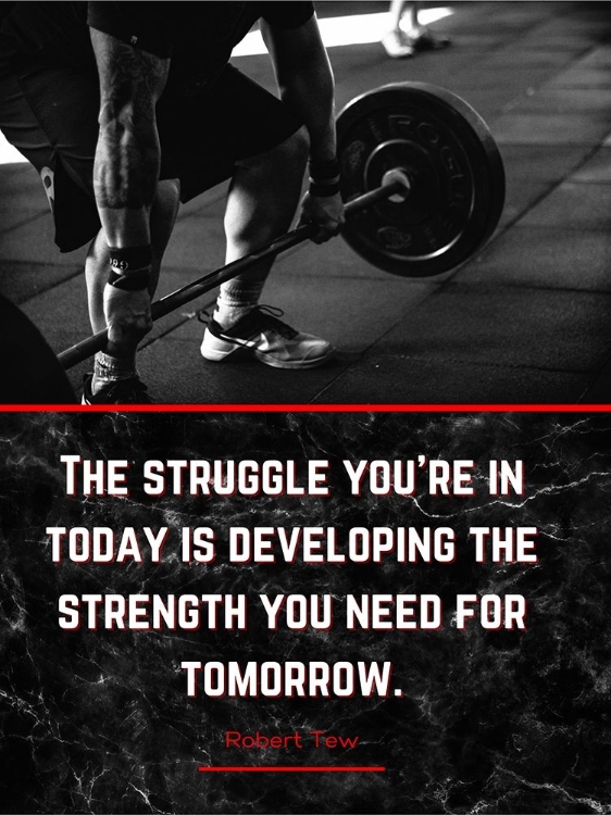 Picture of ROBERT TEW QUOTE: THE STRUGGLE