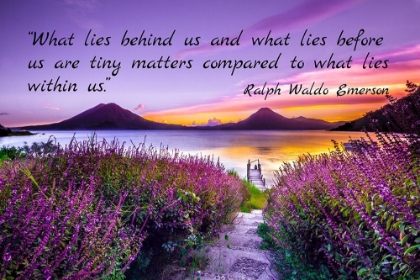 Picture of RALPH WALDO EMERSON QUOTE: TINY MATTERS