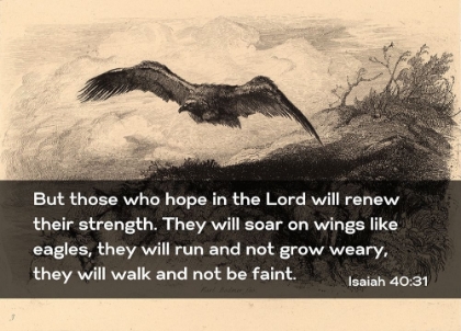 Picture of BIBLE VERSE QUOTE ISAIAH 40:31, KARL BODMER - EAGLE FLYING