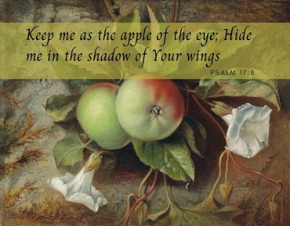 Picture of BIBLE VERSE QUOTE PSALM 17:8, EDWARD JOHN POYNTER - AUTUMN APPLES AND CONVOLVULUS