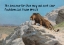 Picture of BIBLE VERSE QUOTE PSALM 104:21, JEAN LEON GEROME - LION ON THE WATCH