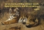 Picture of BIBLE VERSE QUOTE JOB 12:7, JEAN-LEON GEROME - TIGER II