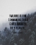 Picture of TRUMAN CAPOTE QUOTE: GIVES SUCCESS