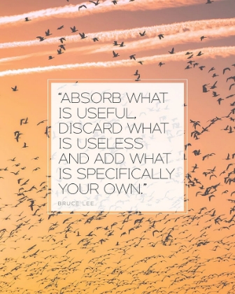 Picture of BRUCE LEE QUOTE: ABSORB WHAT IS USEFUL