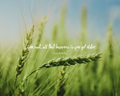 Picture of LARRY MCMURTRY QUOTE: ALL THAT HAPPENS