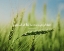 Picture of LARRY MCMURTRY QUOTE: ALL THAT HAPPENS