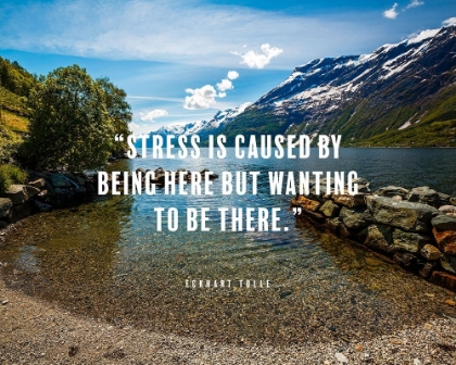 Picture of ECKHART TOLLE QUOTE: STRESS