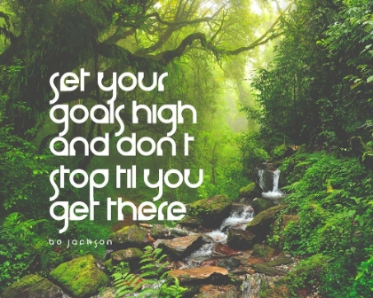 Picture of BO JACKSON QUOTE: SET YOUR GOALS HIGH